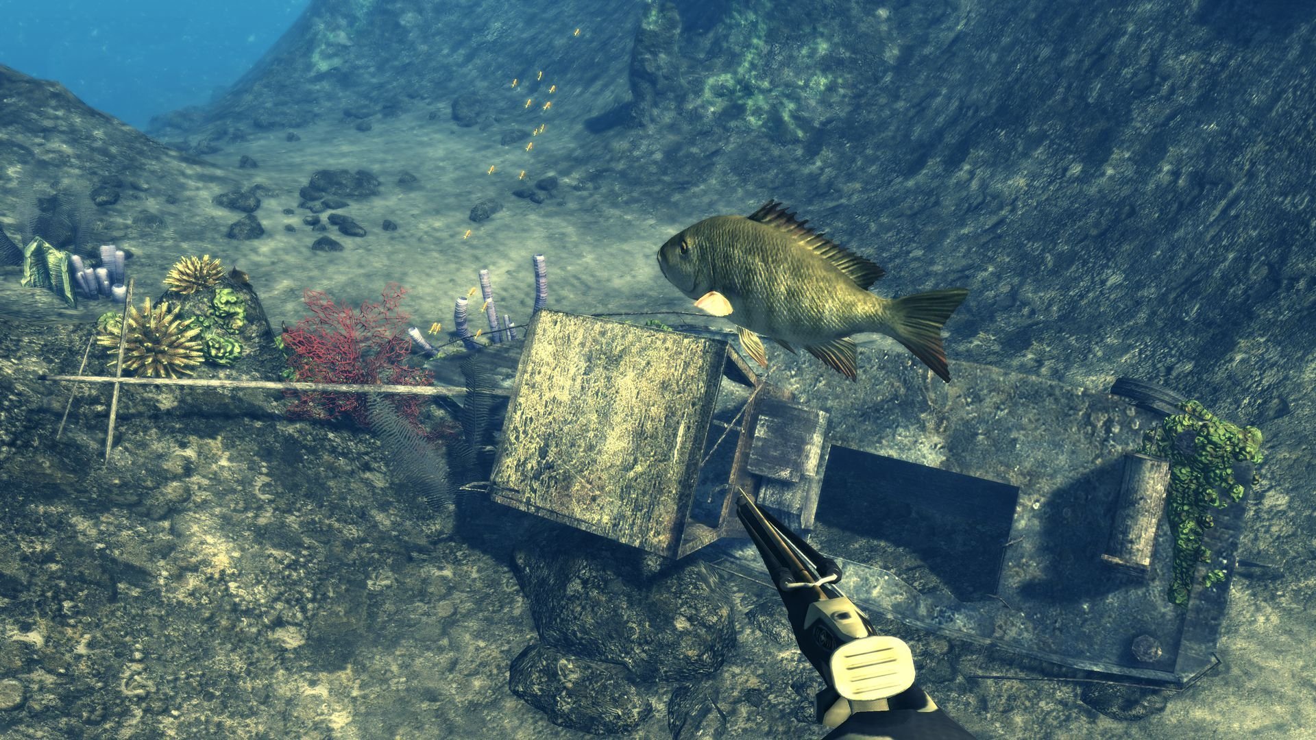 Скачать бесплатно игру подводная охота на компьютер