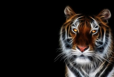 Восхитительные тигры найти цифры - The beautiful tigers (numbers)