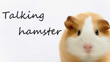 Talking hamster