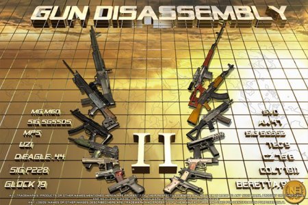 Gun disаssembly 2