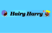Hairy Harry скачать через торрент